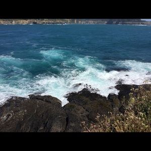 Meet your Posher, Lydia